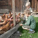 Jenneweinhof Affittacamere